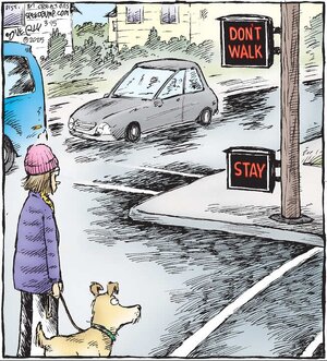 zcrosswalk.jpg