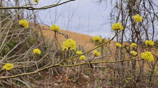 20250402_121652.jpg