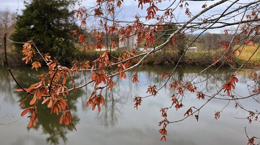 20250402_121516.jpg