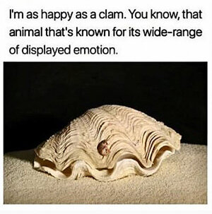 zclam.jpg