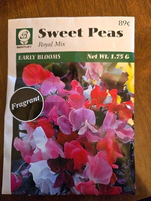 Sweet peas, old package, 04-07-25#1.jpg