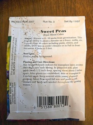 Sweet peas, old package, 04-07-25#2.jpg