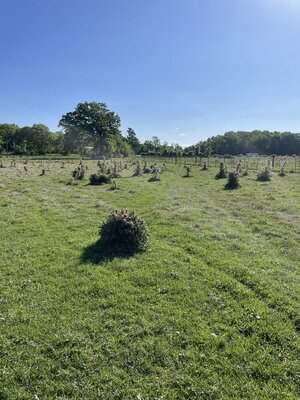 IMG_8550.jpeg