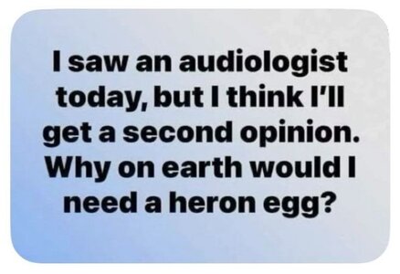 zaudio.jpg