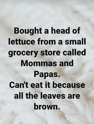 1744170037629.png