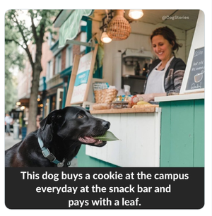 Screenshot_2025-04-10-20-09-31_kindlephoto-111529345.png Screenshot_2025-04-10-20-09-31_kindlephoto-111529345.png