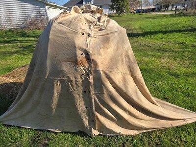 Peach tree tent, 04-12-25, #3.jpg Peach tree tent, 04-12-25, #3.jpg