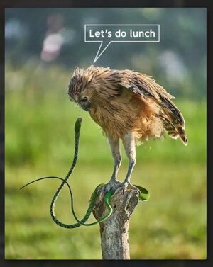 Screenshot_20250413_160501_Chrome.jpg Screenshot_20250413_160501_Chrome.jpg