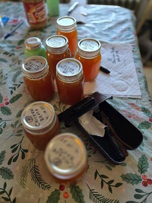 Chicken broth, 04-15-25.jpg