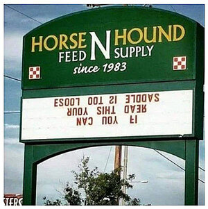 zsaddle.jpg