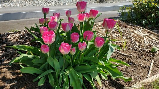 IMG_20250422_132016238_HDR.jpg