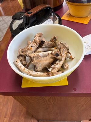 IMG_3549.jpeg