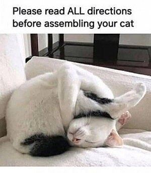 zassemble.jpg