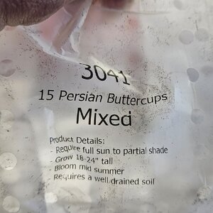 20250430_145940.jpg