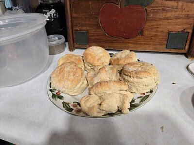 Bicuits, 05-02-25.jpg