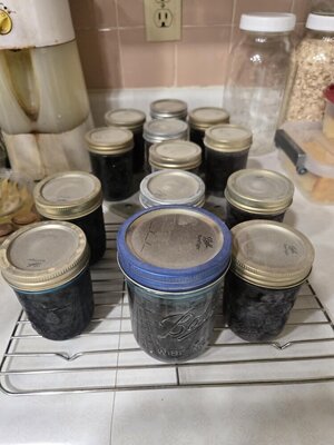 Grape jelly, redone, 05-02-25.jpg