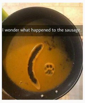 zsausage.jpg