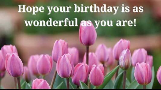 birthday tulips.jpg
