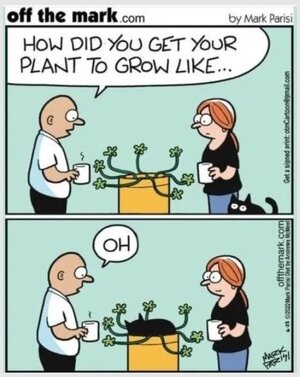 zplant.jpg