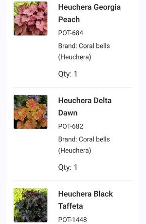 Screenshot_20250509_133555_Gmail.jpg
