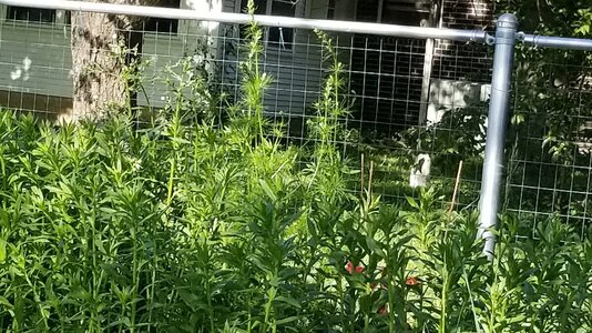 20250510_175644.jpg