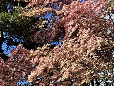 IMG_9998.jpeg