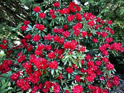 IMG_9775.jpeg