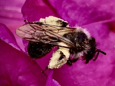 IMG_5764.jpeg
