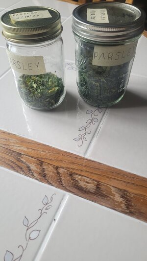 20250514_green parsley.jpg