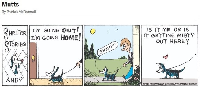 zshelter.jpg