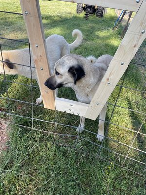 IMG_8702.jpeg
