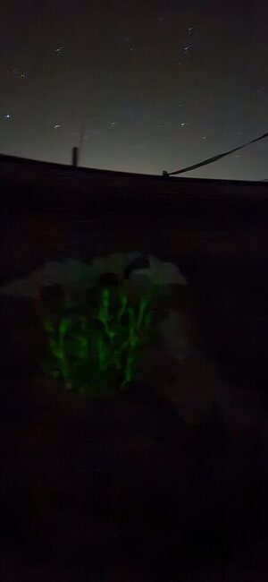 20250524_224113.jpg