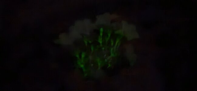 20250524_222521.jpg