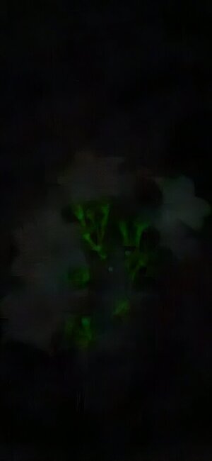 20250524_222401.jpg