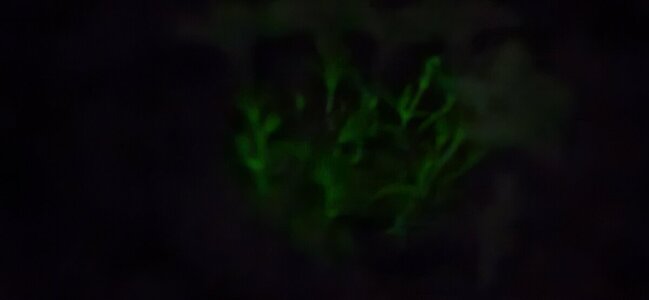 20250524_223842.jpg