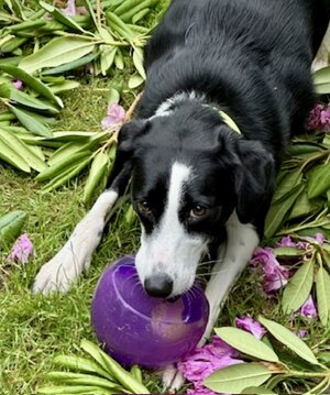 IMG_9880.jpeg