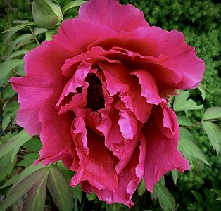 IMG_9296.jpeg