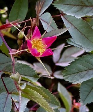 IMG_9869.jpeg