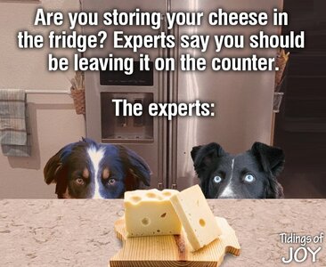 zcheese.jpg