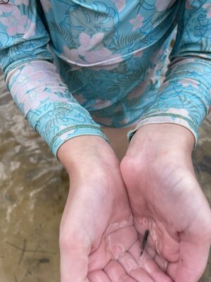 IMG_8792.jpeg
