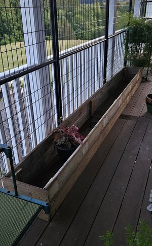 20250526_203840.jpg