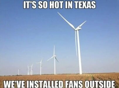 IMG_8638.jpeg