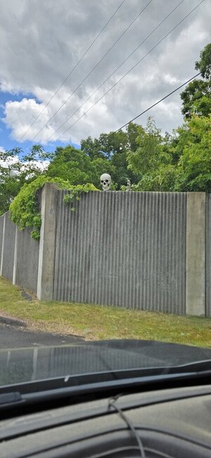 20250523_140253.jpg
