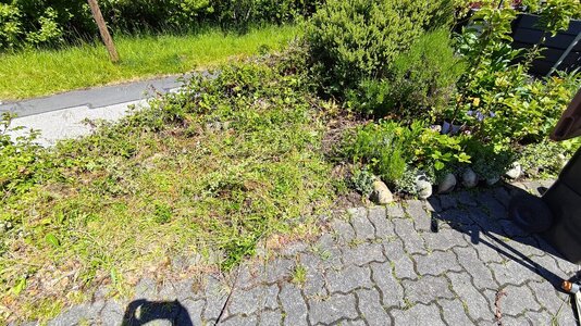 WhatsApp 圖片儲存時間2025-06-01，15.01.42_09a5be57.jpg