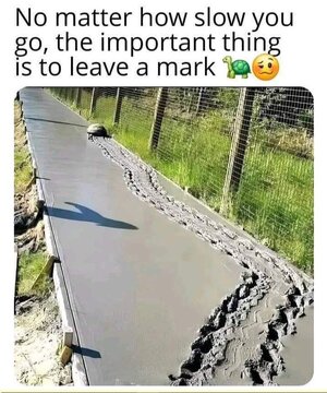 zmark.jpg