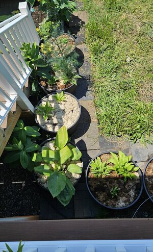 20250610_130307.jpg