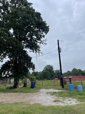 IMG_8941.jpeg