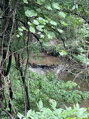 IMG_8944.jpeg