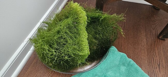 20250617_175818.jpg