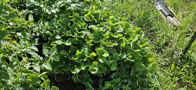 20250618_100357.jpg